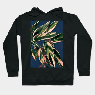 Triostar Plant illustration Hoodie